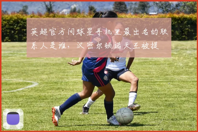 英超官方问球星手机里最出名的联系人是谁，汉密尔顿诺天王被提