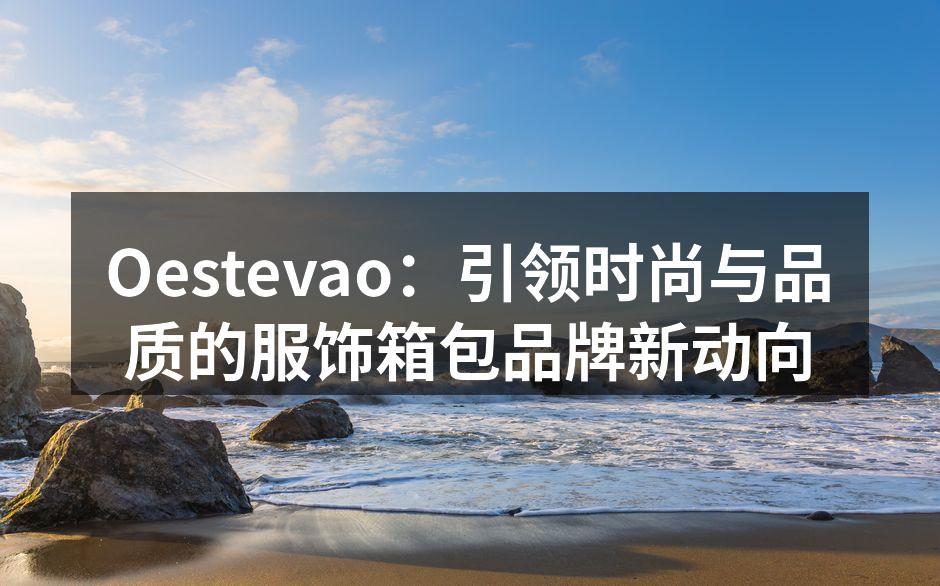 Oestevao新产品发布会现场