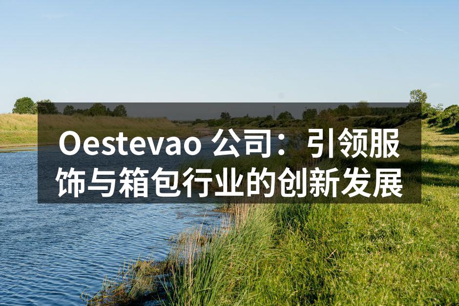 Oestevao 公司：引领服饰与箱包行