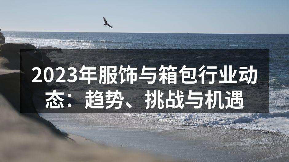 2023年服饰与箱包行业动态：趋势、挑战
